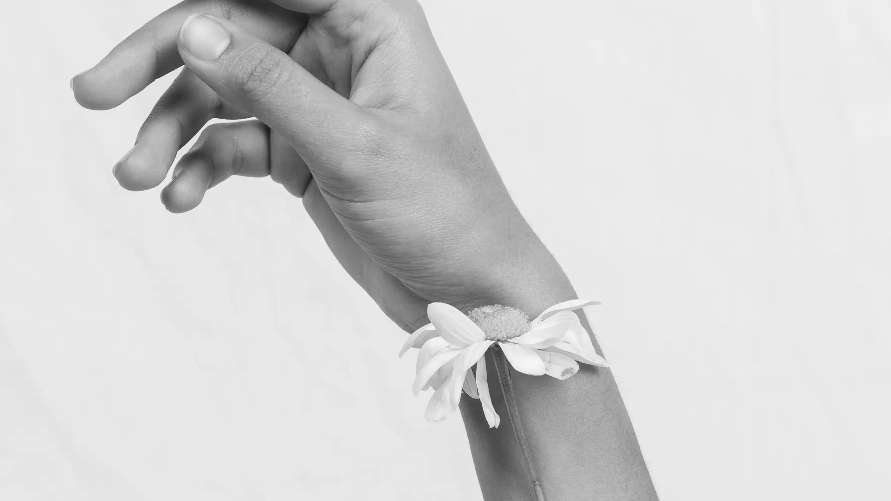 Ruhiges Motiv zum Abschluss: Arm mit aufgelegten Blüten, schwarzweiß fotografiert